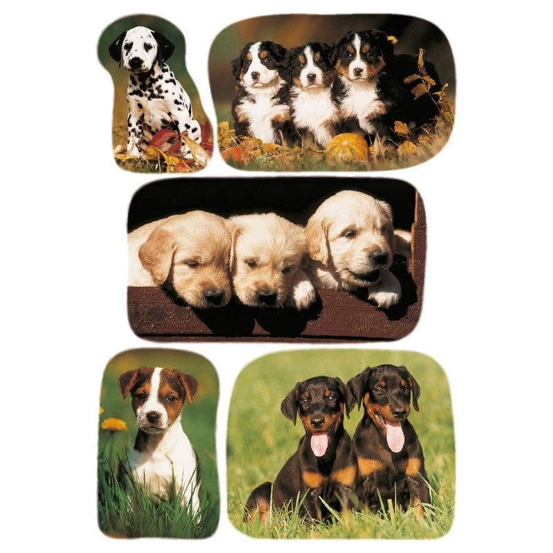3x Honden-puppy stickervellen met 5 stickers