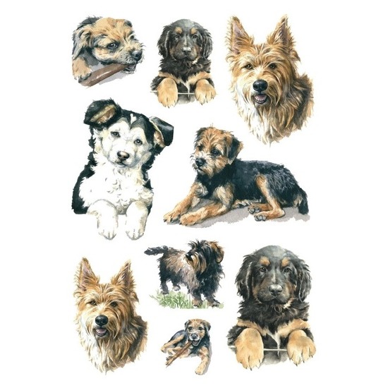 3x Honden stickervellen met 9 stickers