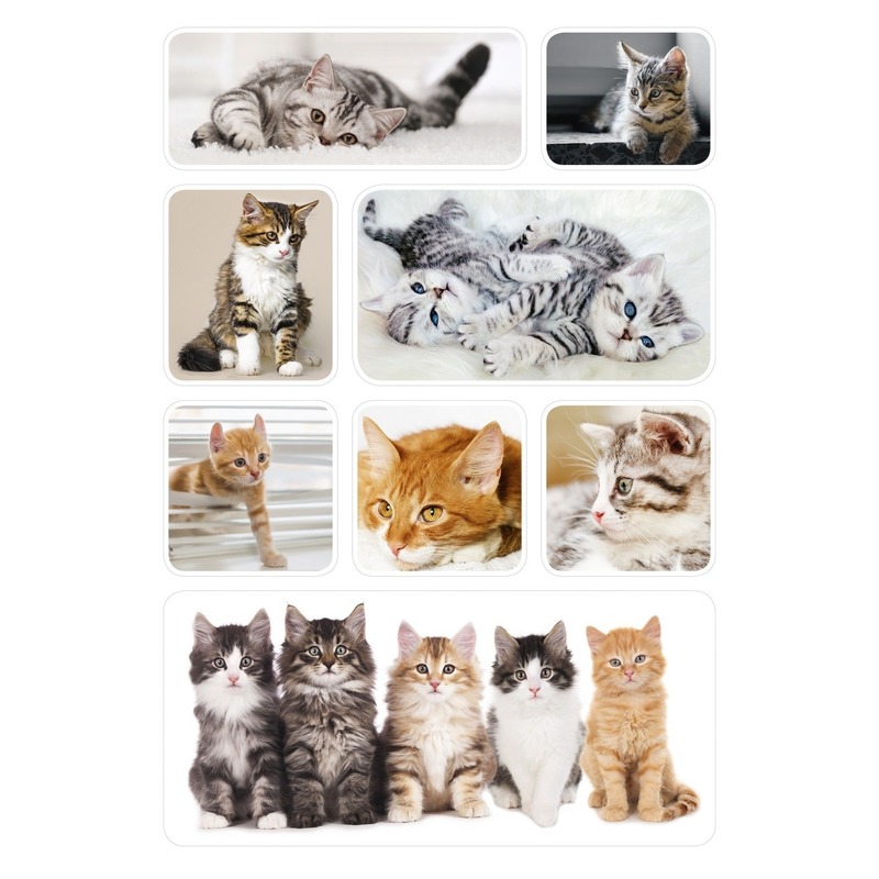 9x Poes-kitten stickervellen met 8 stickers