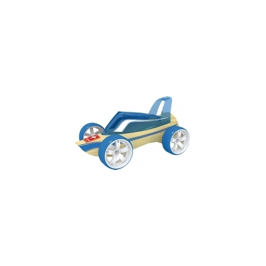 Blauwe strandbuggy raceauto bamboe