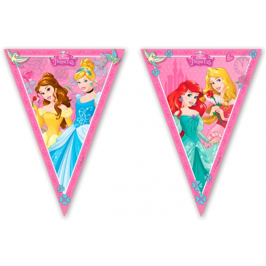 Disney Princess slingers vlaggetjes 2,3 m