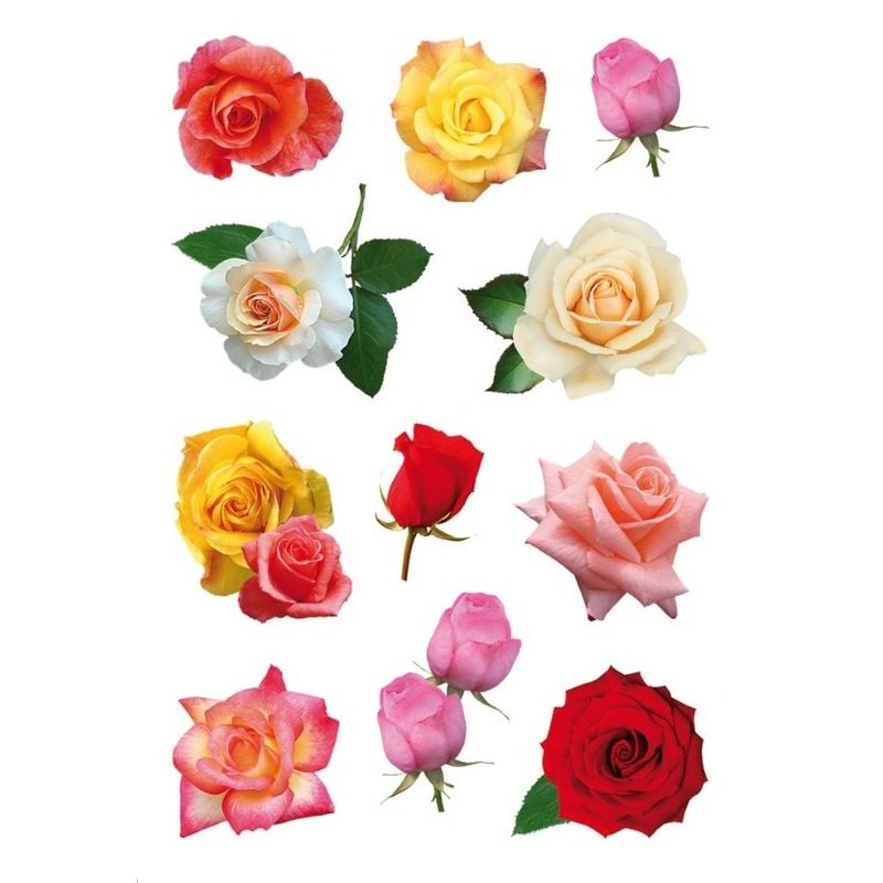 Gekleurde roos bloemen stickervellen met 33 stickers