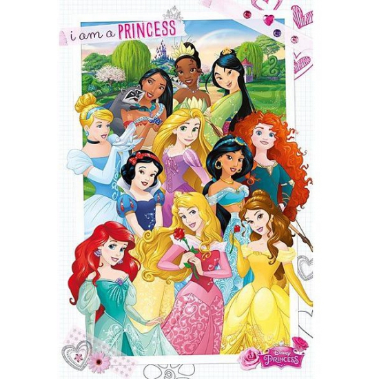 Prinsessen maxi poster 61 x 91,5 cm