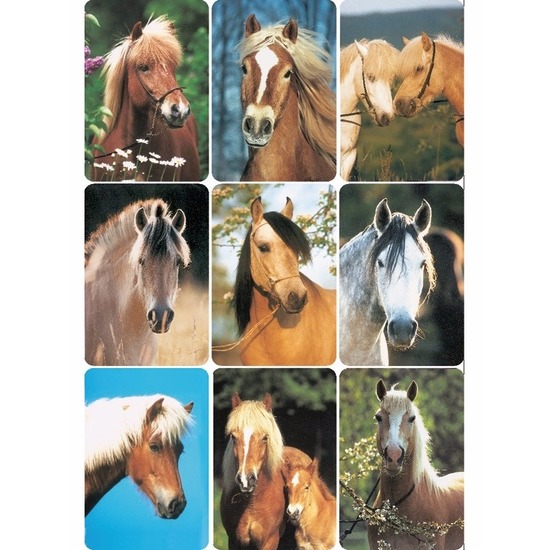 Stickers diverse paardenhoofden 3 vellen