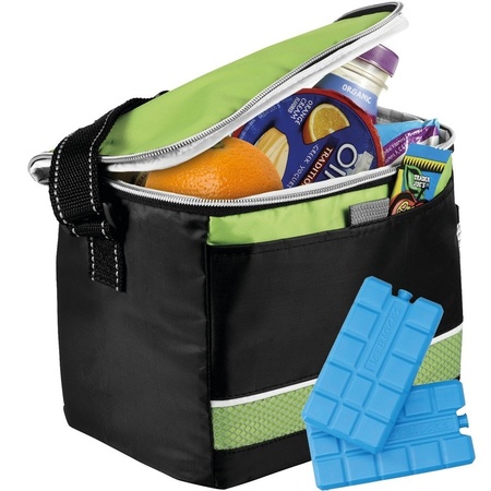 Coolerbag with 4 elements